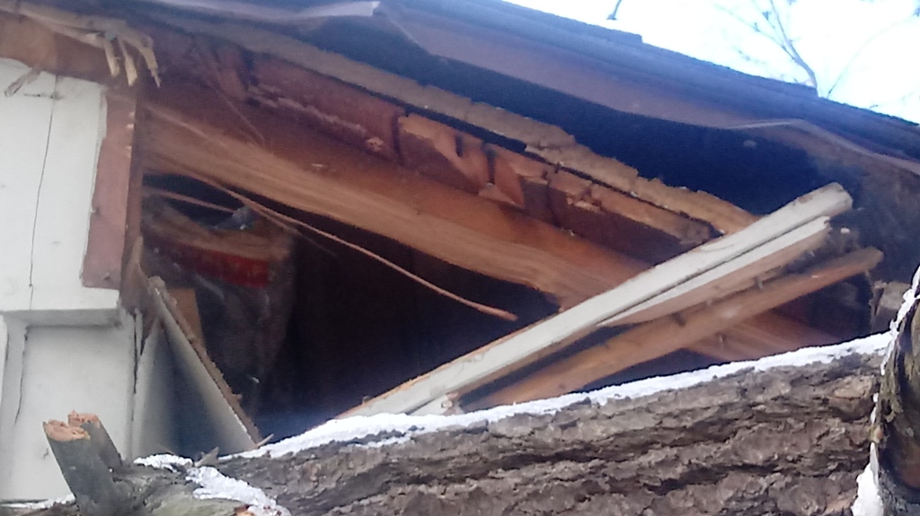 Damage to house from fallen tree